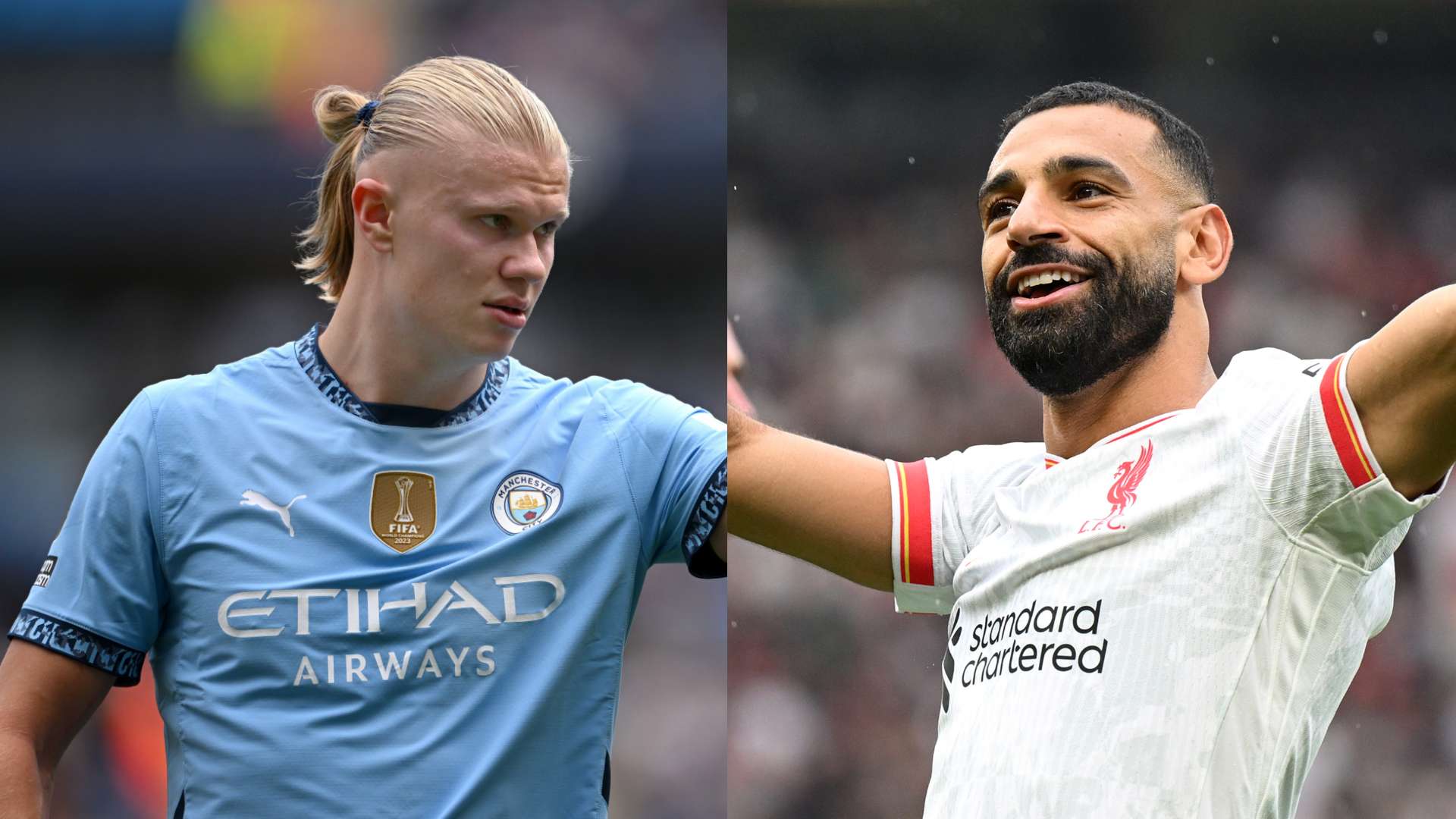 充分说明了 充分说明了